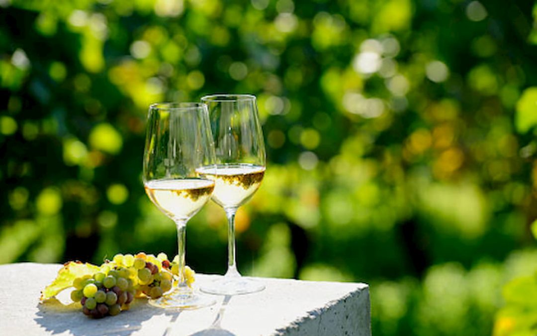 uvas para vinos blancos
